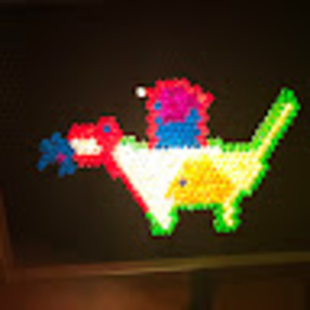 Meet your Posher, Pamela